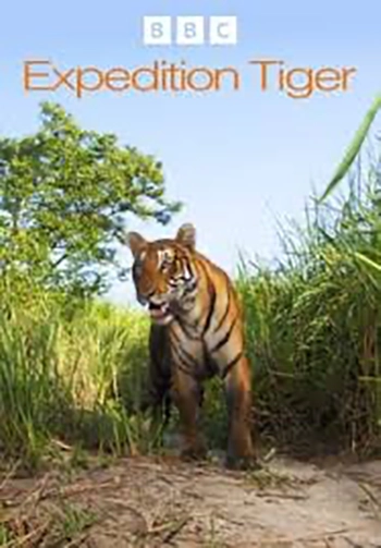 Expedition Tiger (3 x 50')
