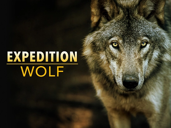 Expedition Wolf (2 x 50')