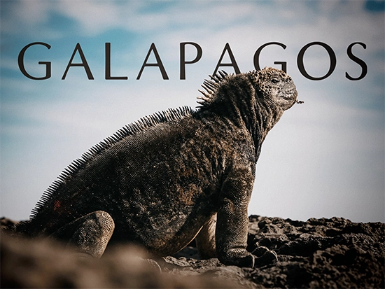 Galápagos (3 x 50')