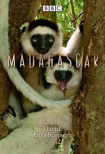 Madagascar (3 x 50')